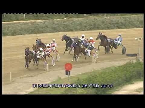 Corse del Trotto del 25 Febbraio 2019