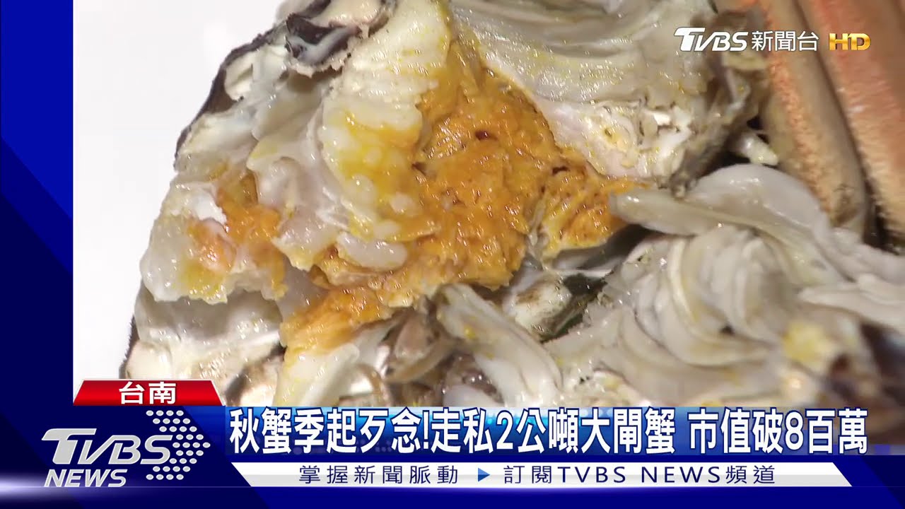 秋蟹季起歹念!走私2公噸大閘蟹 市值破8百萬