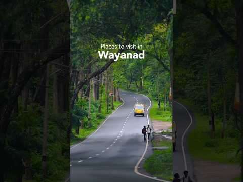 Discover the Incredible Wonders of Kerala Tourism!