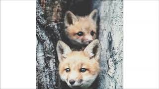 Jeff Kaale :: Footsteps