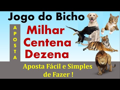 Jogo do Bicho - Thousands, Hundreds and Tens The Easiest and Most Common Bet to Make!