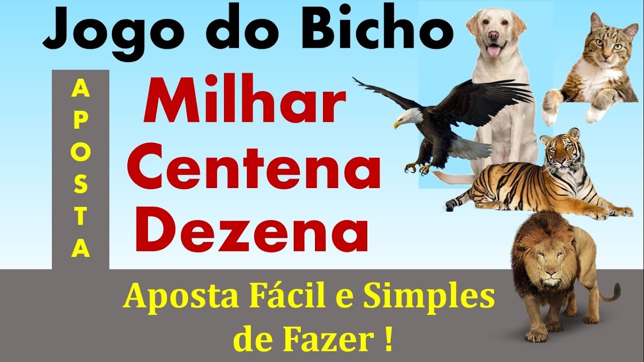 Jogo do Bicho - Milhar, Centena e Dezena Aposta mais Fácil e Comum de Fazer !