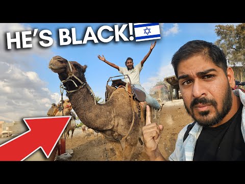 Black Israeli Camel rider shows me REAL ISRAEL! 🇮🇱