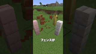 仲間はずれのフェンス！？🪓