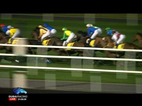 Race 6 - Dubai Duty Free Tennis Championships