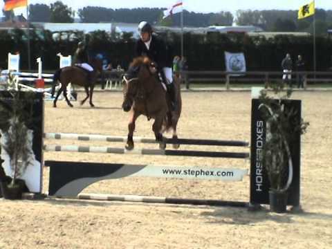 Jarvis van d'Abelendreef (Nabab x Heartbreaker) 5jr- 2014