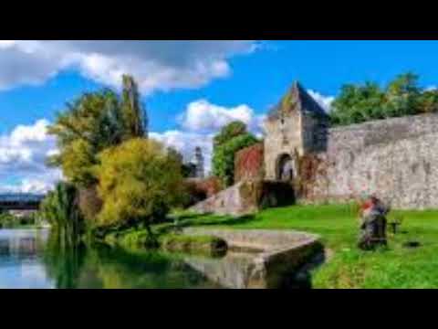 Danica Crnogorcevic I Beogradski Sindikat