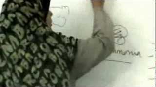 Dr - Sahar - Bacterial Infection (4) - Pathology