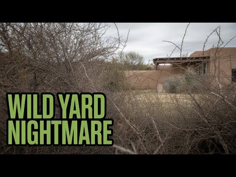 DIY Airbnb Hosting Adventure in New Mexico | Managing Our Desert Rental From Afar