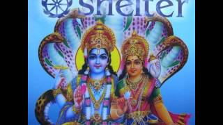 Shelter - Meant to Be