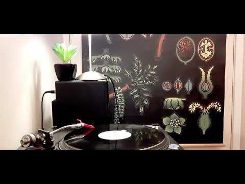 Mc Lyte(ft.Gina thompson)."Its all your".