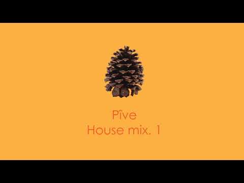Pîve - House mix. 1 ¦ Crazibiza ¦ Junior Jack ¦ Incognet ¦ Todd Terry & more