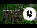 Muthumani Mala Song Violin Music Violin