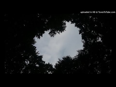 Mihajtoma - Trace // 2018r.