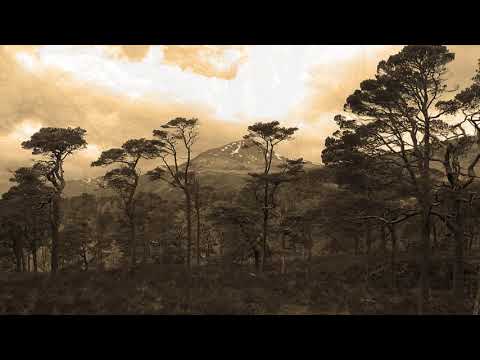 Hame, Hame, Hame - Walter Holland