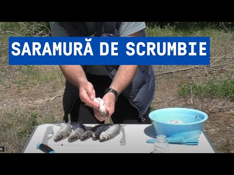 Saramură de scrumbie