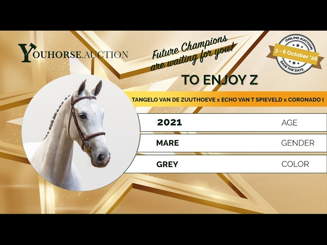 To Enjoy Z