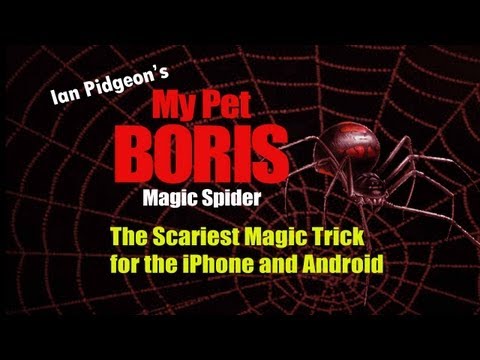 Magic Spider Video
