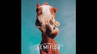 No Me Olvides Lyrics English Translation