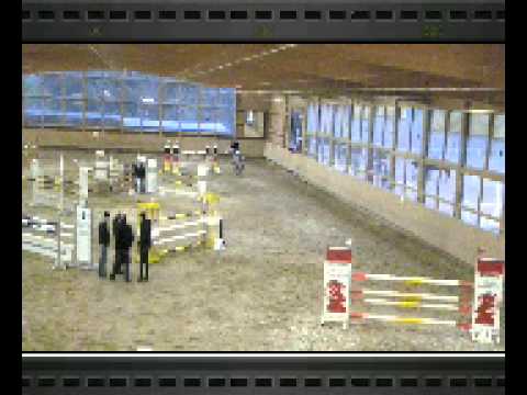 Stall Distel, 6jährige Stute von Douglas