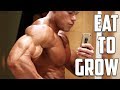 My Lean Bulk Diet - FULL Day of Eating - Classic Bodybuilding