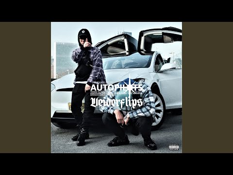 Autopilots VEIDERFLIPS