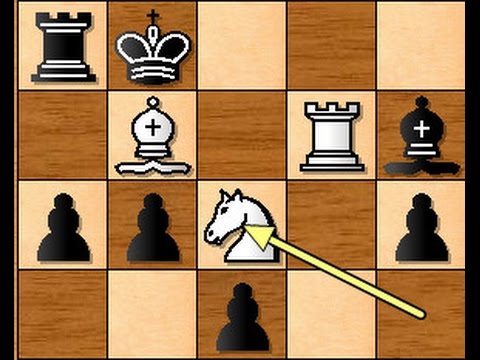 Opasnost od otvorenih linija u šahu  -  FOULDS vs LANG # 903