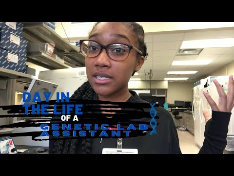 Day in the Life of a Genetic Lab Assistant