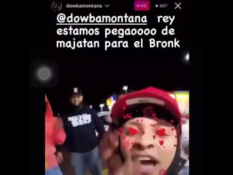 Dowba Montana Ft cherry scom (preview)