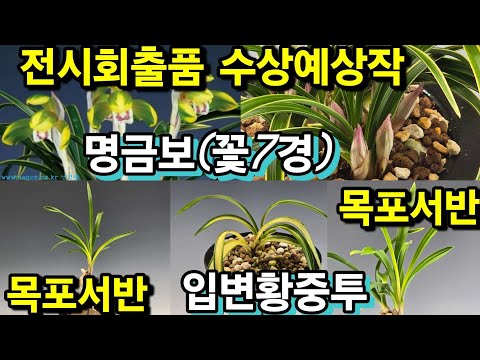 유튜브 썸네일