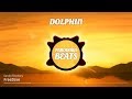 Rondo Brothers - DOLPHIN [Free2Use]