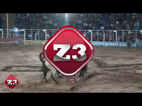 FINAL - URUPÊS/SP -- RODEIO EM CAVALOS - CUTIANO - 2019