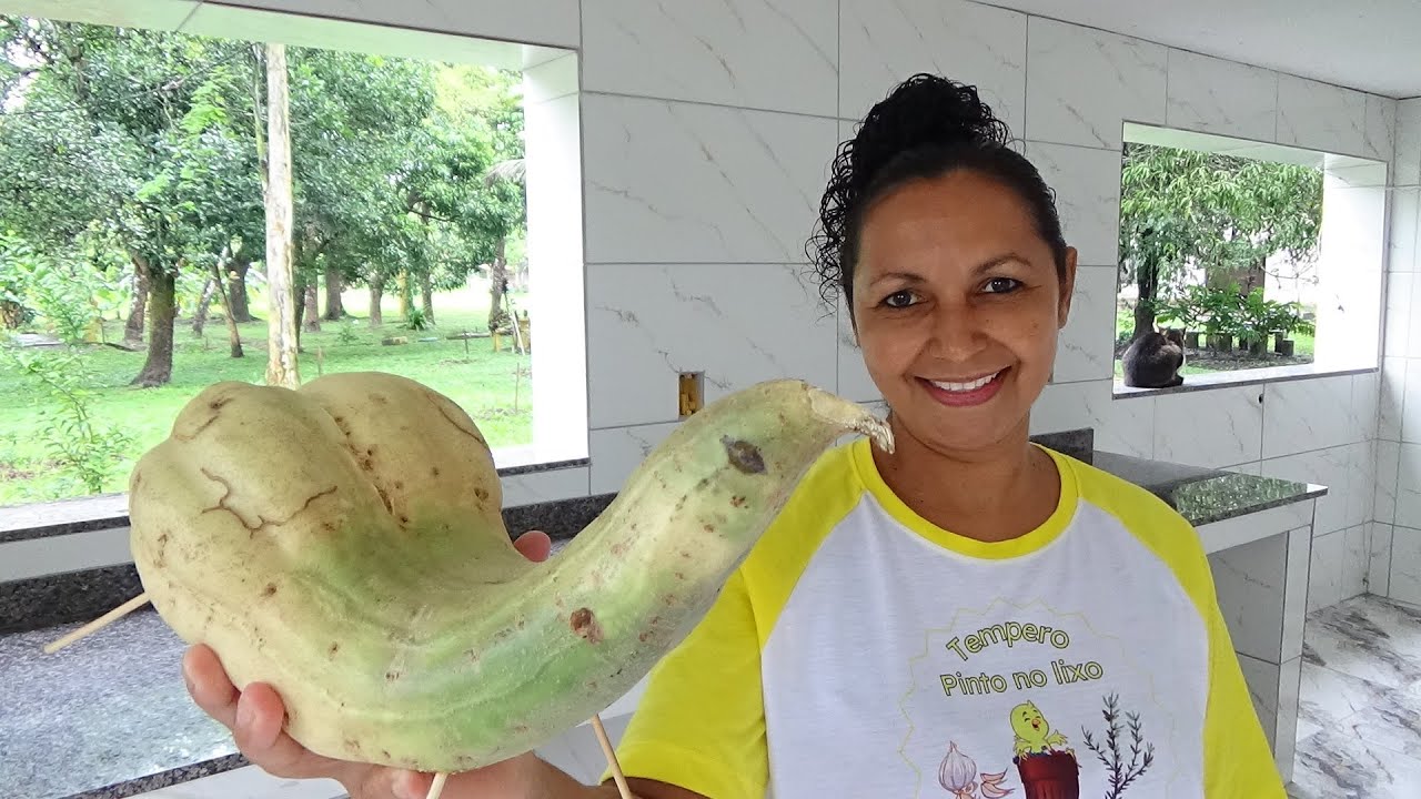 INÍCIO DÁ MINHA FABRICA DE COXINHA