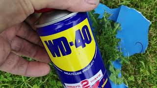 Does WD-40 Work as an Effective Weed Killer? (Play to find out)