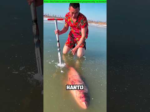 Mancing Ikan Malah Diancam Hantu Es