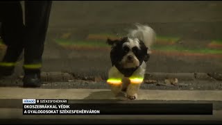 Pedestrians are protected with smart pedestrians safety systems in Székesfehérvár
