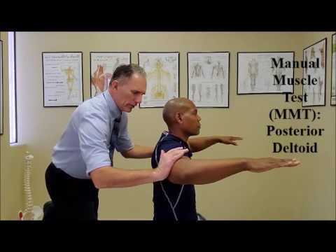Manual Muscle Test (MMT) Deltoid