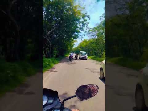 Beautiful nature #pachhani chilukalu thodunte song #trending