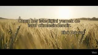 Canın Her İstediğini Yemek de İsraftır