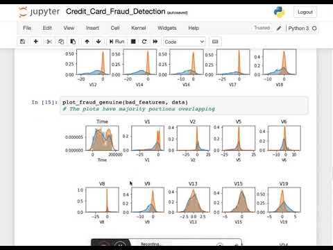 Credit Card Fraud Detection using ML - Project for Skyfi Labs Online Course - by Ramya Neelakantan