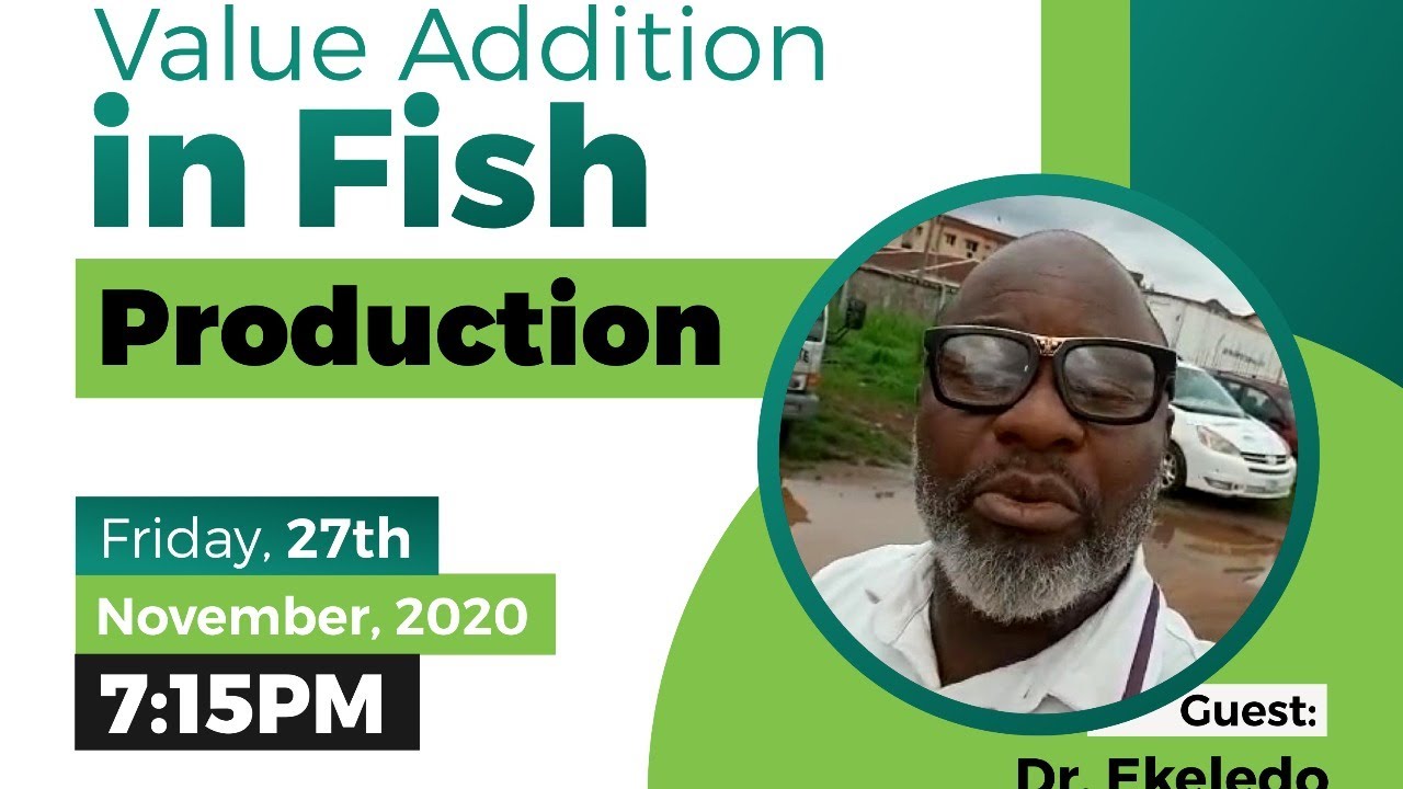 Value Addition Fish Production