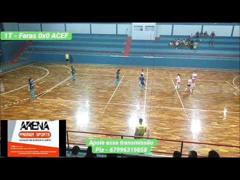Gols de Feras de Pet Cães/São Gabriel e ACEF Coxim - 10/07 - Amistoso - Coxim (MS)
