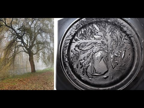 Secret of water: images in ice with Veda Austin's Freezing technique