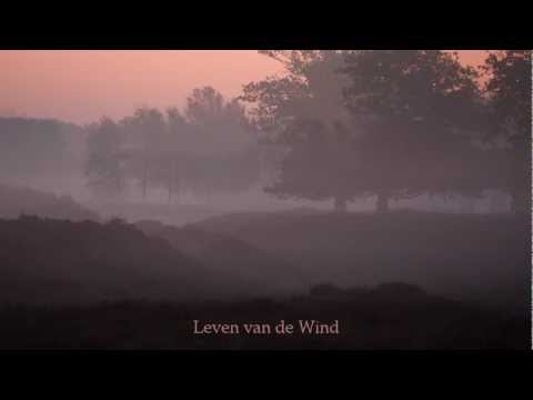 Leven van de wind