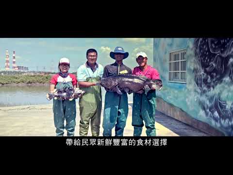 中文 - 臺灣農業鏈結世界