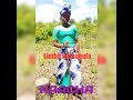 Limbu Luchagula KAACHA O787634999