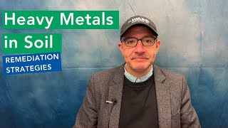 Heavy Metals in Soil: Remediation Strategies