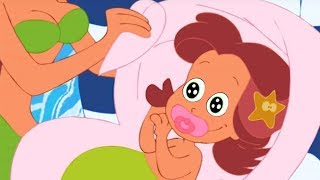 Zig &amp; Sharko 👶 BABY MERMAID 👶 KITTY FAMILY 💓 Cartoons for Children - Baby Shark Cartoon