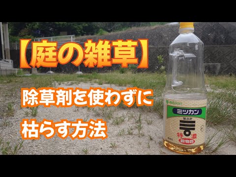 ヒルガオを永久に除去する方法 沸騰したお湯と化学除草剤を組み合わせる