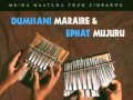 Chemutengure - Dumisani Maraire & Ephat Mujuru